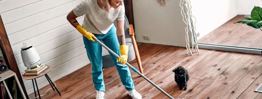 Wie Du Energieblockaden in Deiner Wohnung / in Deinem Haus löst